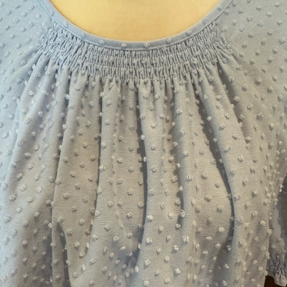 J. Crew Blue and White Smocked Blouse with Puff Sleeves - Picture 2 of 4